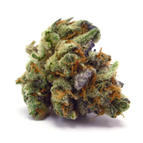 Legend OG Cannabis Seeds - Image 2
