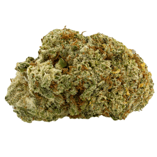 Liquid Butter Cannabis Seeds - Image 2