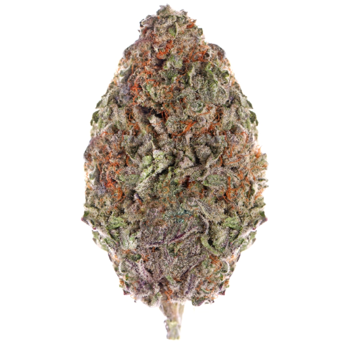 Master Yoda Cannabis Seeds - Image 2