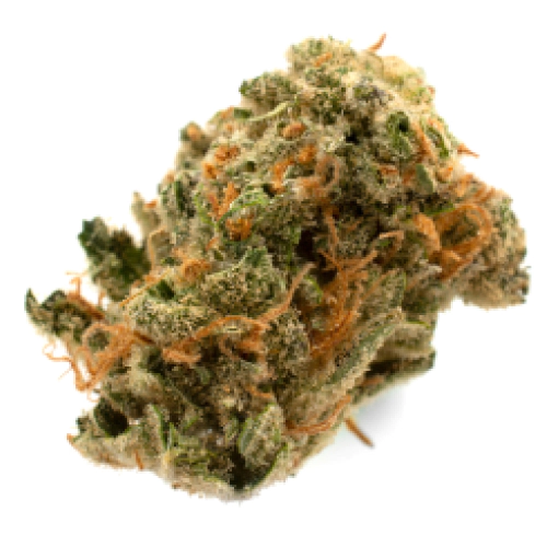 Matanuska Thunder Fuck Cannabis Seeds - Image 2