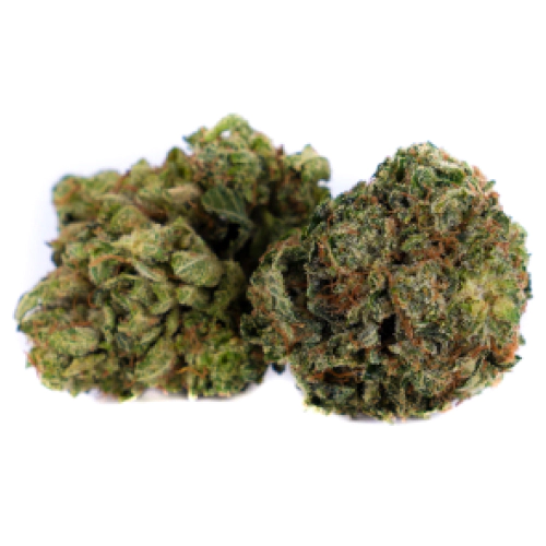 Mazar x Blueberry Cannabis Seeds - Image 2
