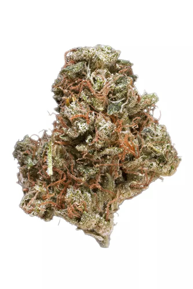 Misty Kush Cannabis Seeds - Image 2