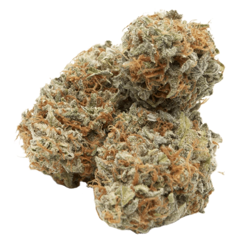 Molokai Frost Cannabis Seeds - Image 2