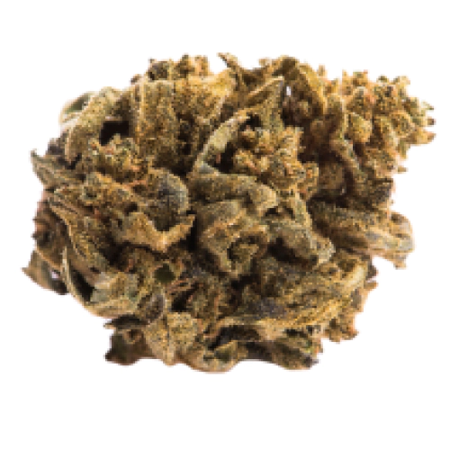 Pakistan Valley Kush Cannabis Seeds - Image 2