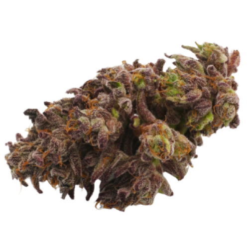 Pandora’s Box Cannabis Seeds - Image 2