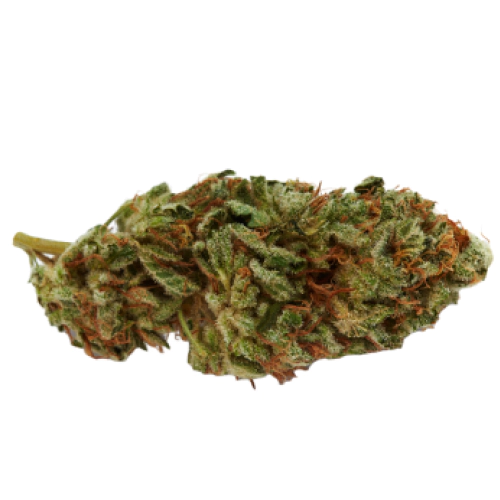 Power Kush Cannabis Seeds - Image 2