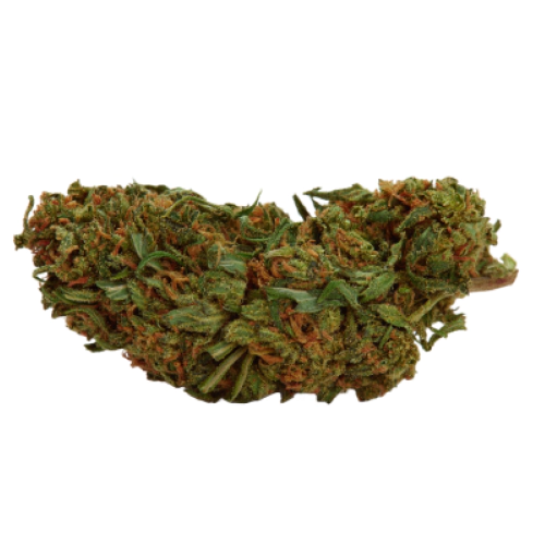 Purple Arrow Cannabis Seeds - Image 2