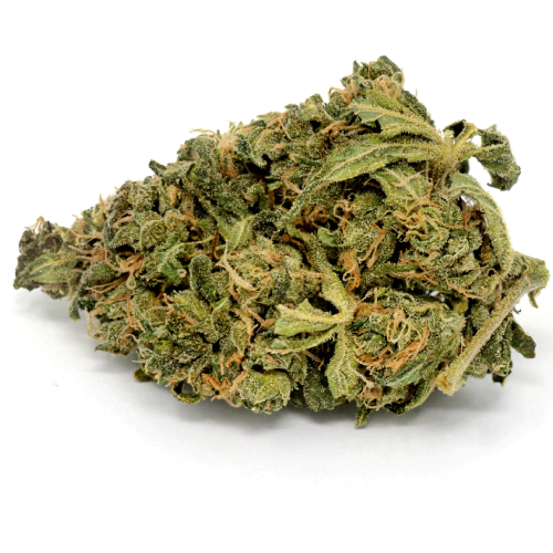 Rockstar Cannabis Seeds - Image 2