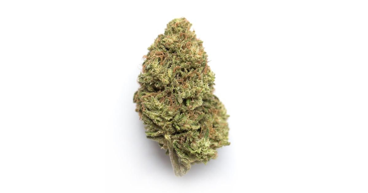 Rocky Mountain Blueberry Cannabis Seeds - Image 2