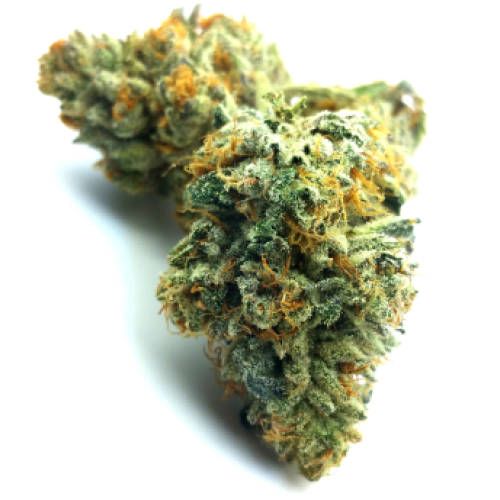 Royal Kush Cannabis Seeds - Image 2