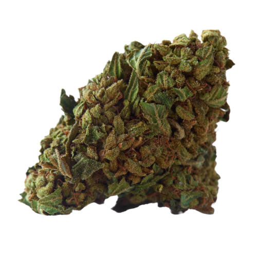 Shishkaberry Cannabis Seeds - Image 2