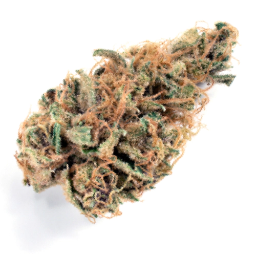 Sour Tangie Cannabis Seeds - Image 2