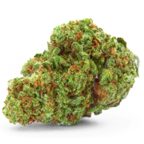 Star Killer Cannabis Seeds - Image 2