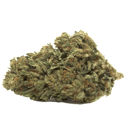 Supergirl Cannabis Seeds - Image 2