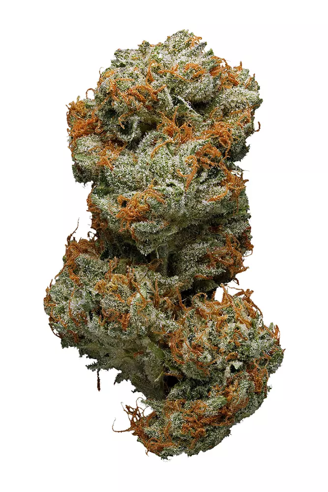Sweet Deep Grapefruit Cannabis Seeds - Image 2