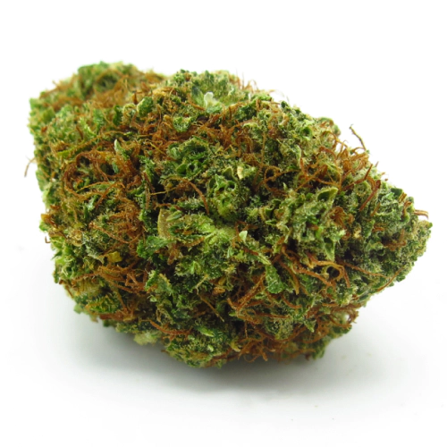 Tahoe OG Kush Cannabis Seeds - Image 2