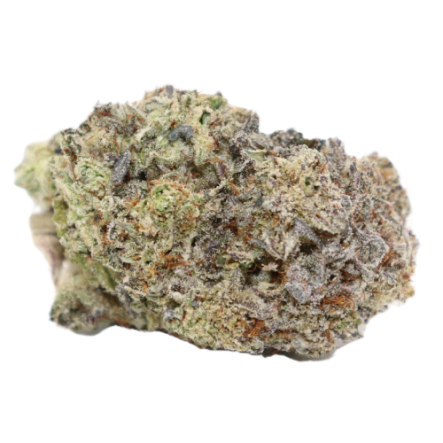 Tangerine Haze Cannabis Seeds - Image 2