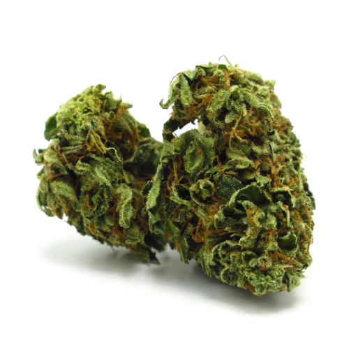 The OX Cannabis Seeds - Image 2