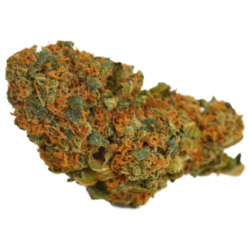 Venom OG Cannabis Seeds - Image 2