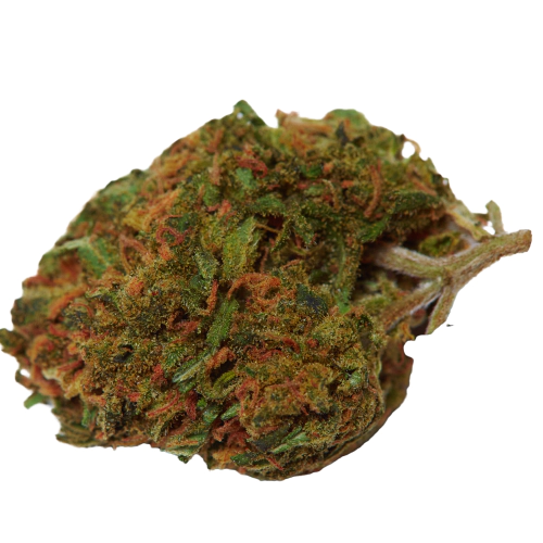 Violator Kush Cannabis Seeds - Image 2