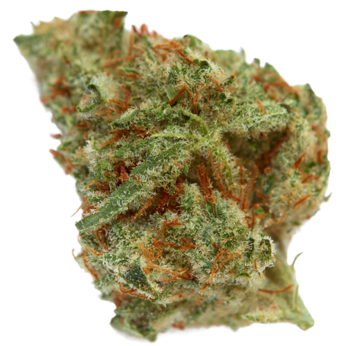 Whitaker Blues Cannabis Seeds - Image 2