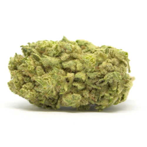 White Buffalo Cannabis Seeds - Image 2