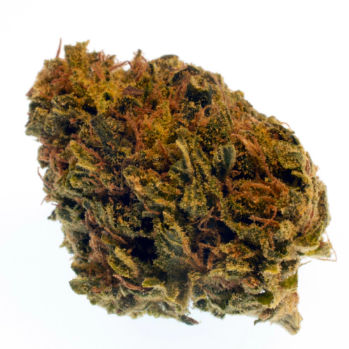 White Nightmare Cannabis Seeds - Image 2