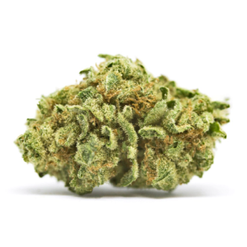 Blue Zkittlez Cannabis Seeds - Image 2