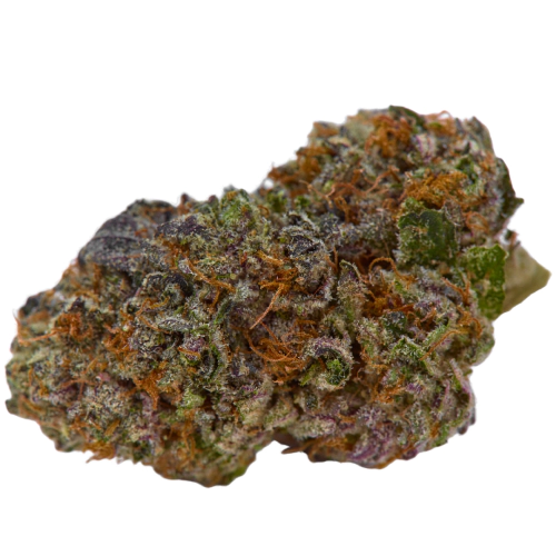 Bluniverse Cannabis Seeds - Image 2