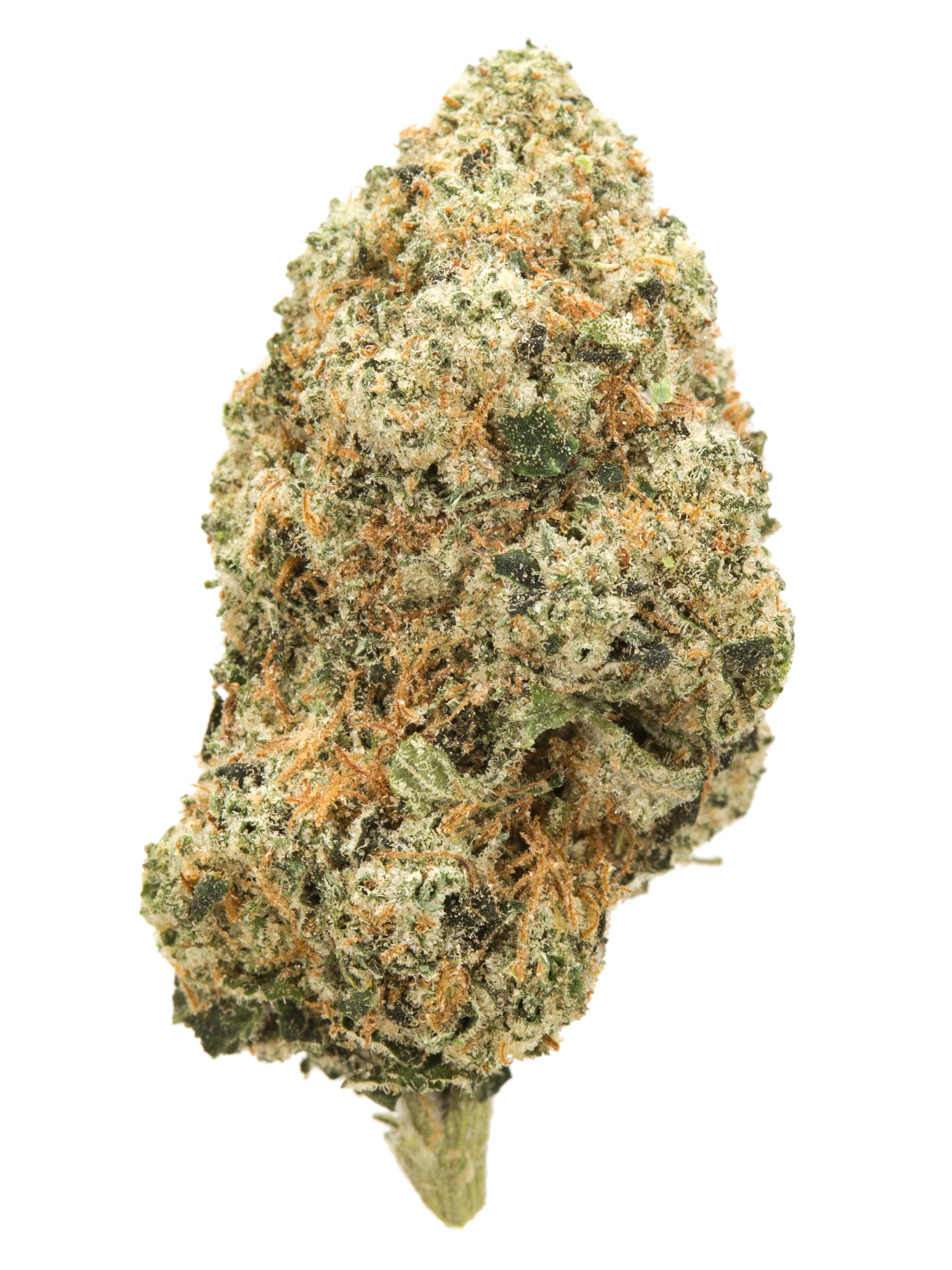 Cookie Breath Cannabis Seeds - Image 2