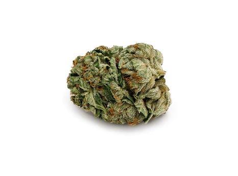 Dawgfather OG Cannabis Seeds - Image 2