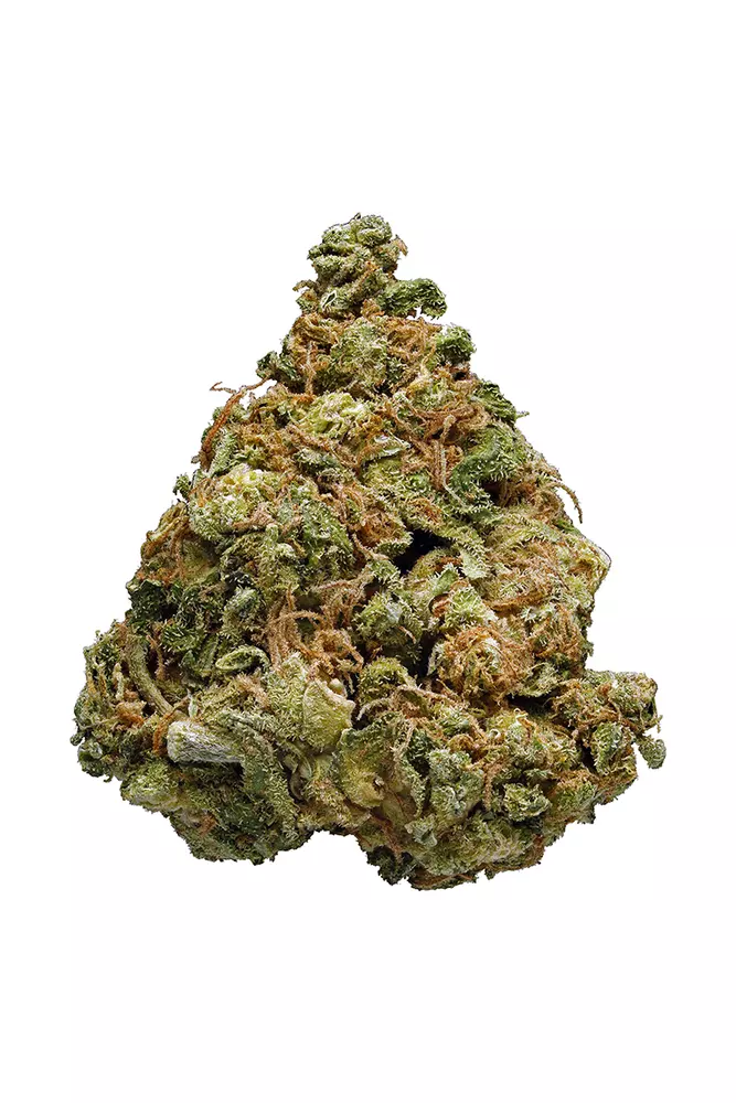 Early Girl Cannabis Seeds - Image 2