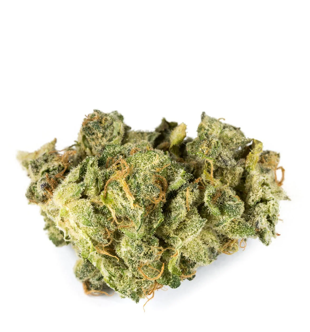 Eran Almog Cannabis Seeds - Image 2