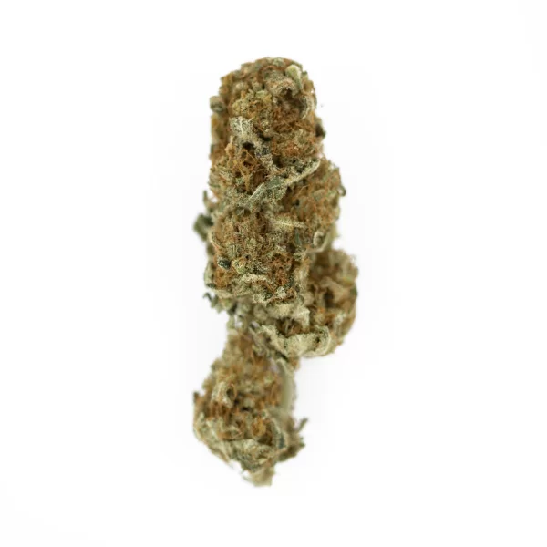 Euphoria Cookies Cannabis Seeds - Image 2