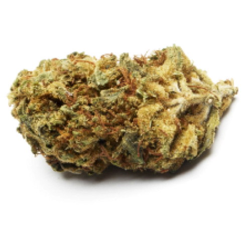 Godzilla Glue Cannabis Seeds - Image 2