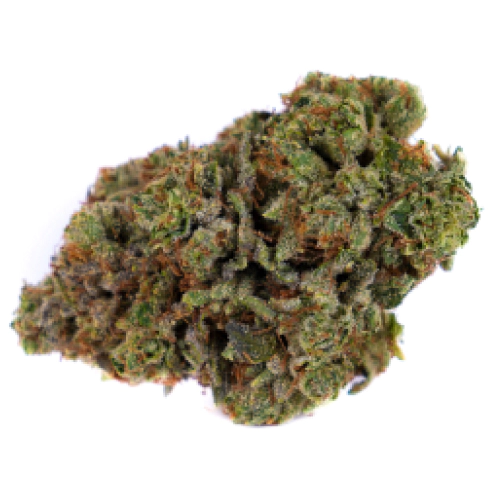 Guard Dawg Cannabis Seeds - Image 2