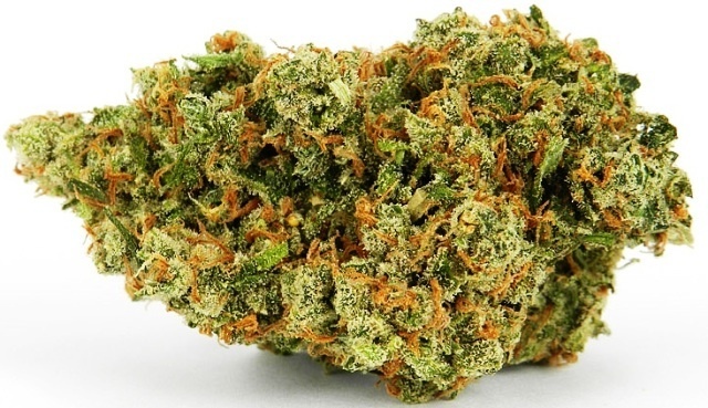 Jacked-Up Cannabis Seeds - Image 2