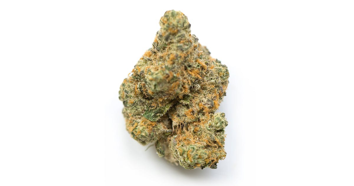 Mandala #1 Cannabis Seeds - Image 2