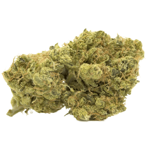 Paris XXX Cannabis Seeds - Image 2