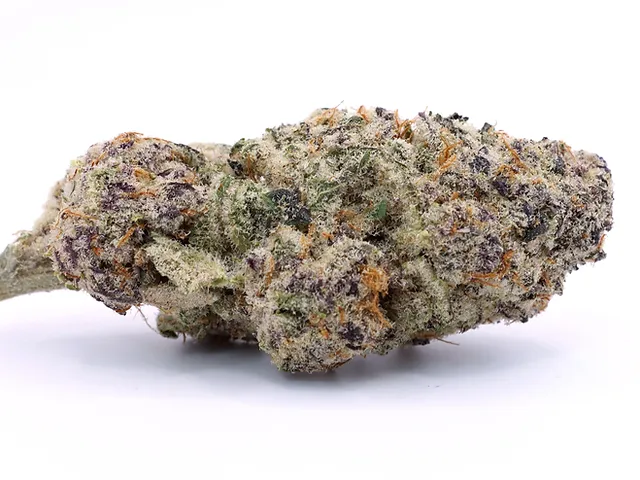 Puna Budder Cannabis Seeds - Image 2