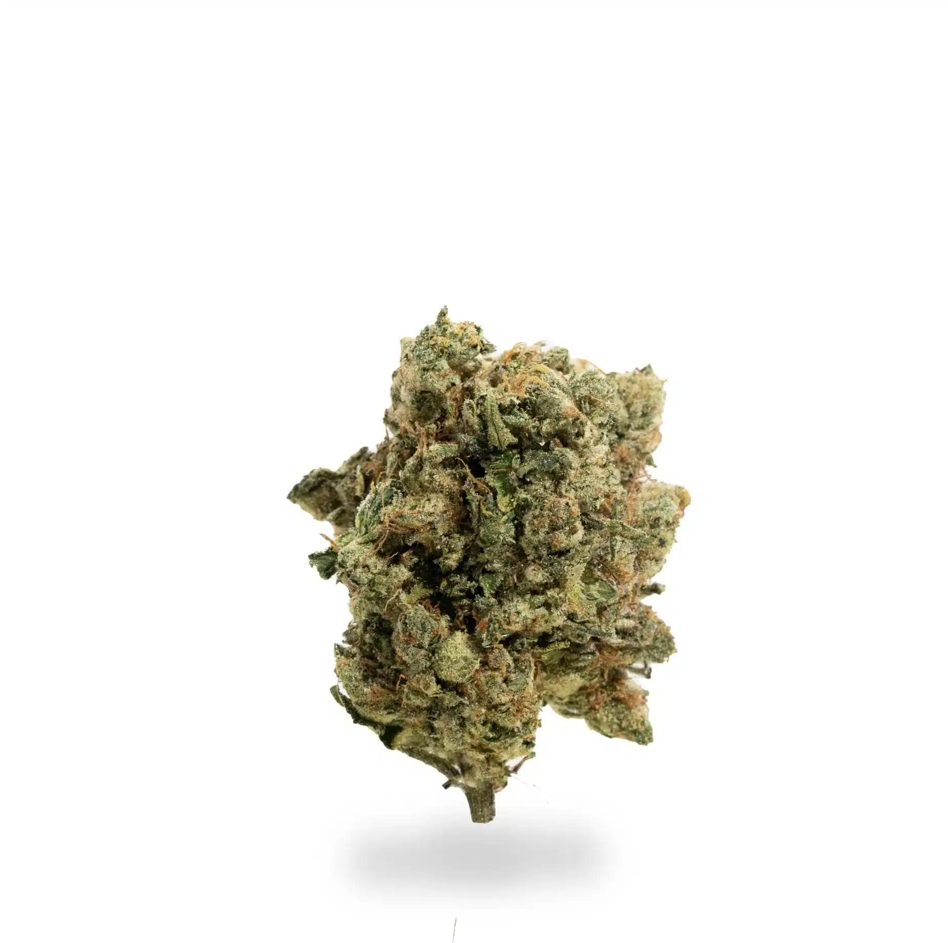 Pure Love Cannabis Seeds - Image 2