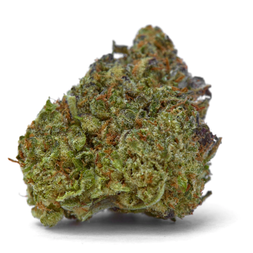 Pure OG Cannabis Seeds - Image 2