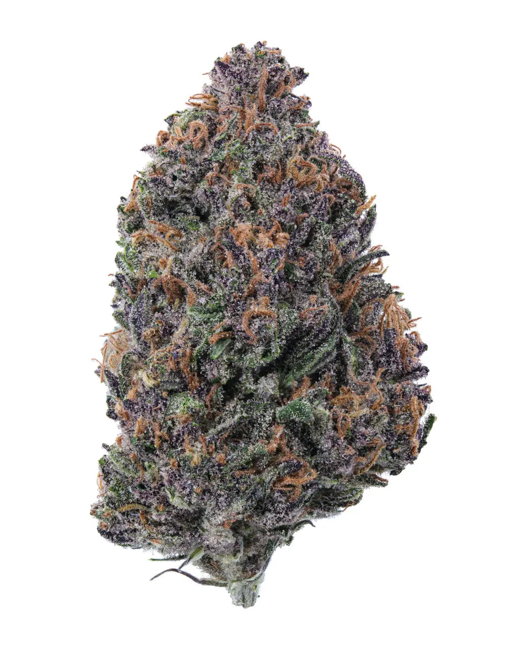 Purple Pantera Cannabis Seeds - Image 2