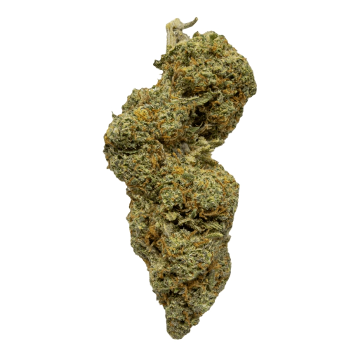 Serious Happiness Cannabis Seeds - Image 2