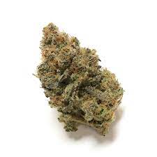 Sierra Mist Cannabis Seeds - Image 2