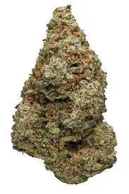 Silverfalls Kush Cannabis Seeds - Image 2