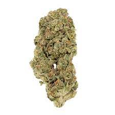 Strawberry Milkshake Cannabis Seeds - Image 2