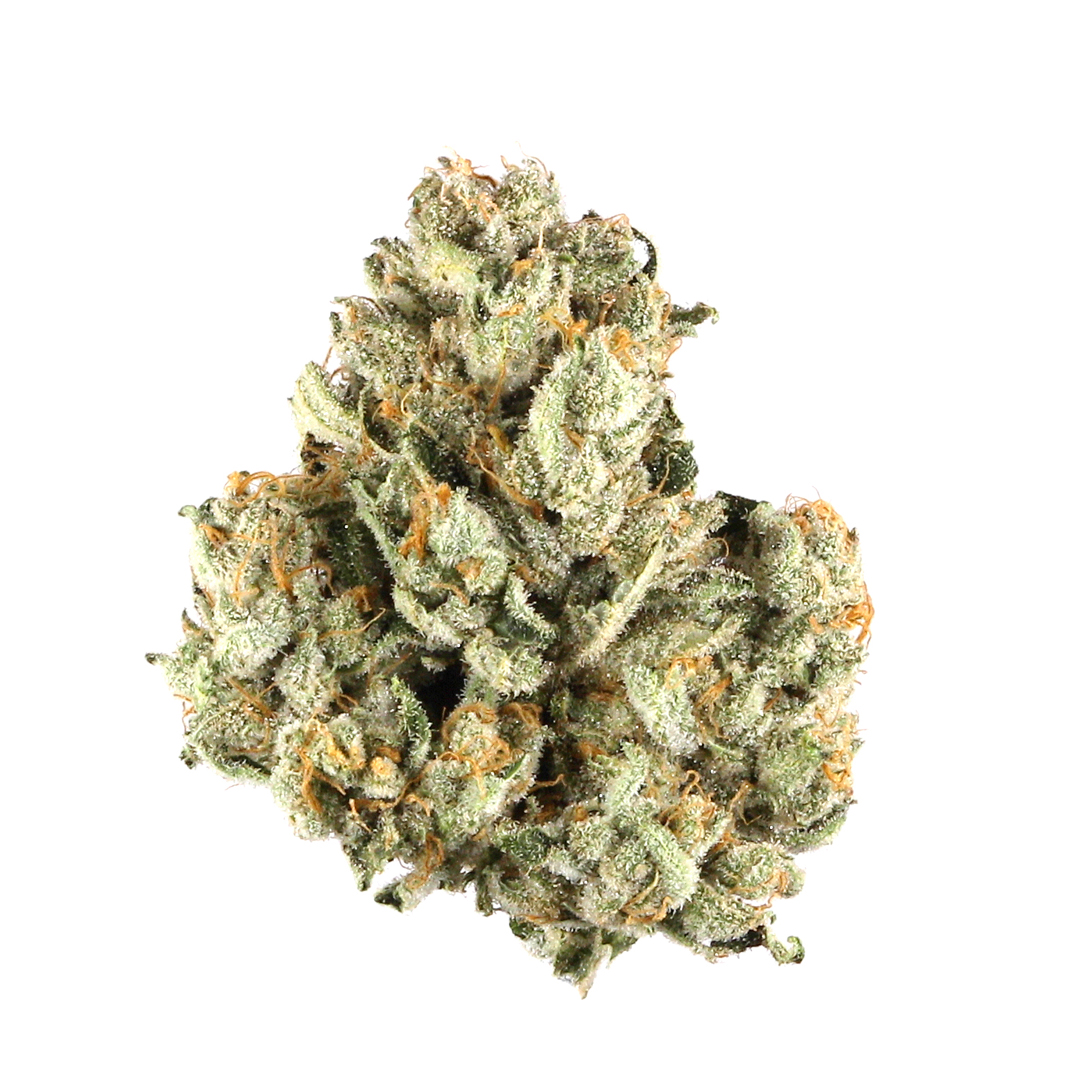 West OG Cannabis Seeds - Image 2