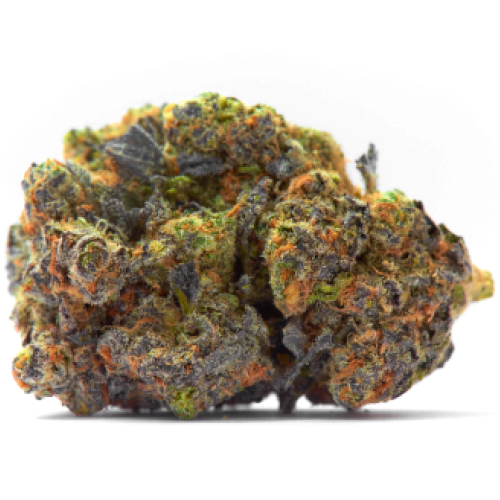 White Kush Cannabis Seeds - Image 2