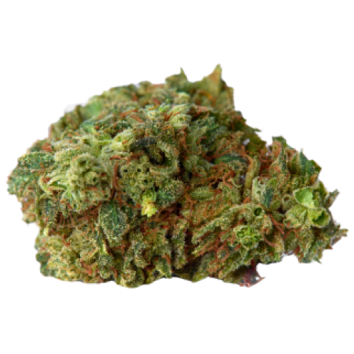 Banana Diesel Cannabis Seeds - Image 2